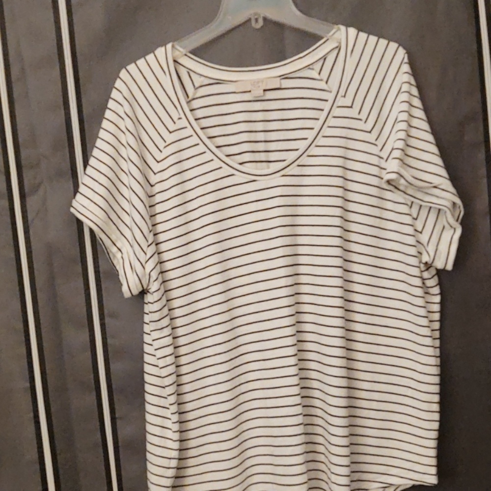 Dolman sleeved top